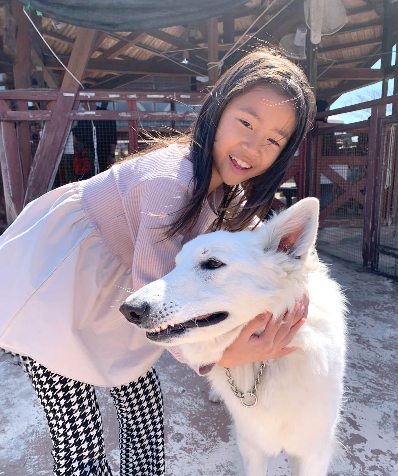 動物ふれあい広場