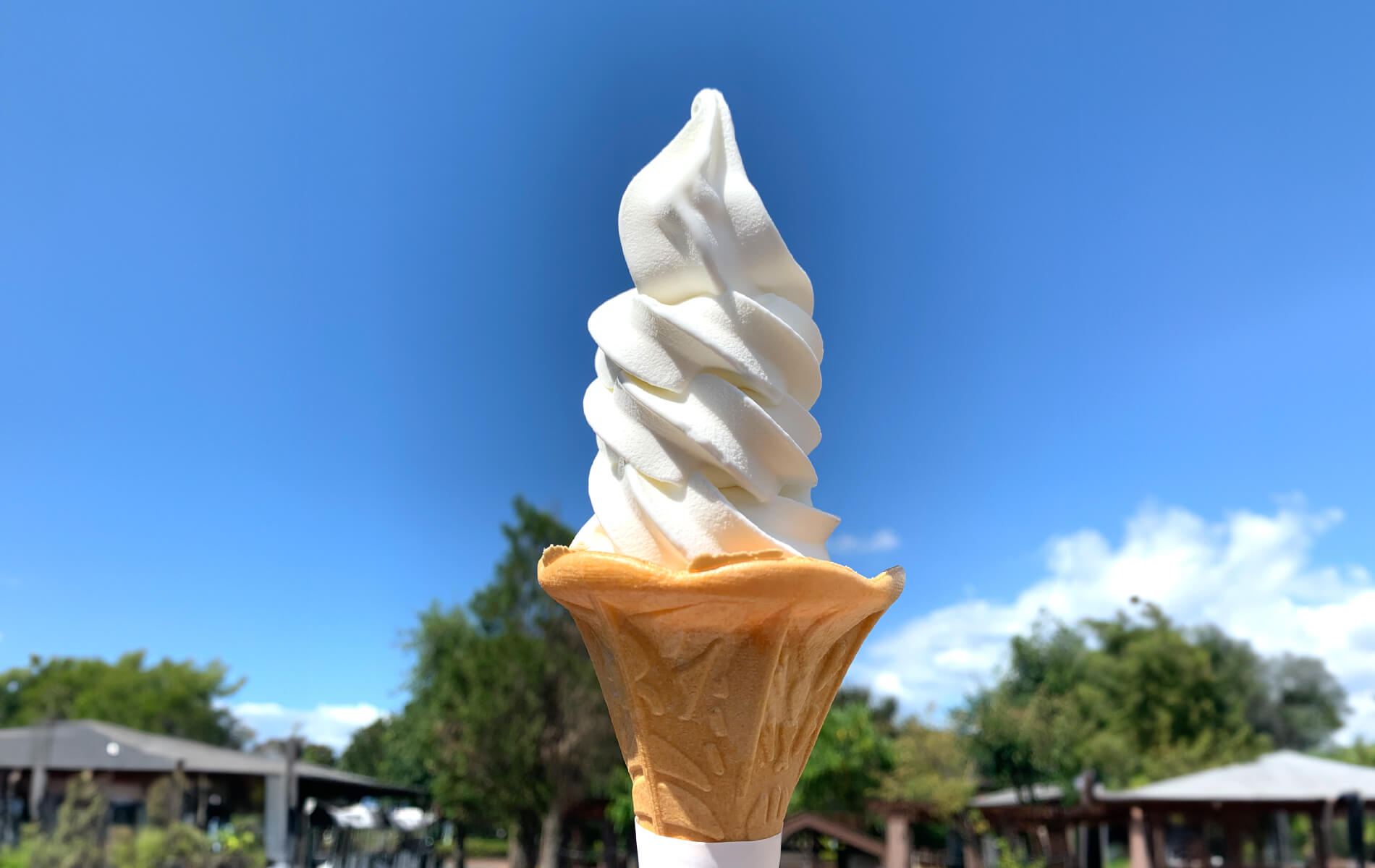 名物ソフトクリーム