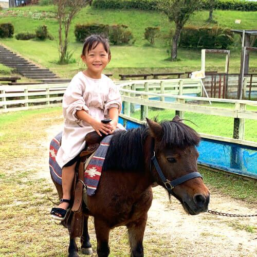 ポニー乗馬体験